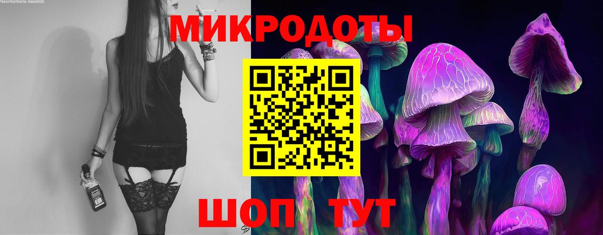 Псилоцибиновые грибы Psilocybine cubensis Семилуки